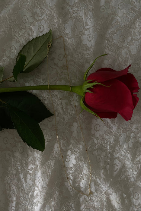 petite station chain