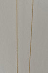 staple chain– CCNY